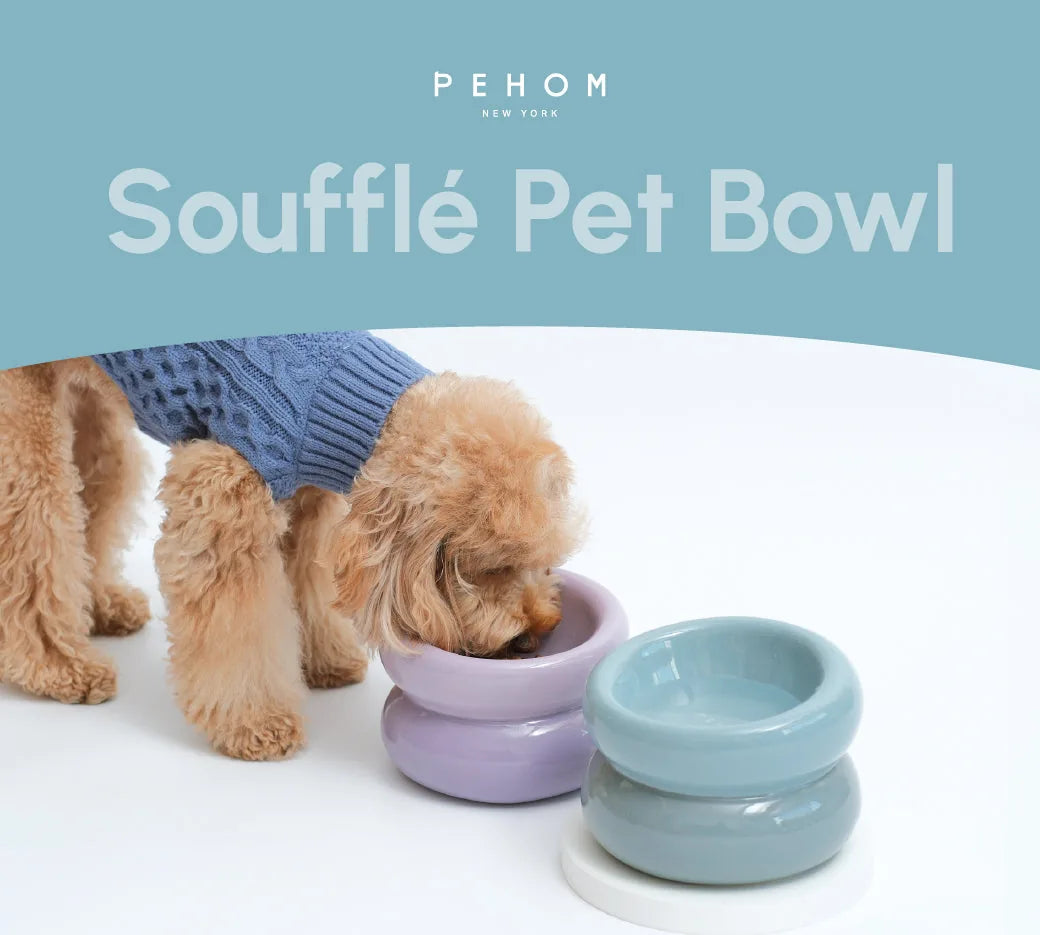 A fluffy dog with a blue sweater eats from a lavender Soufflé Pet Bowl, alongside a Frozen Blue bowl.