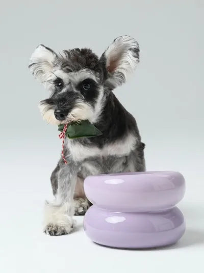 Gray and white dog sits beside a glossy purple, two-tiered pet bowl designed for comfortable feeding.