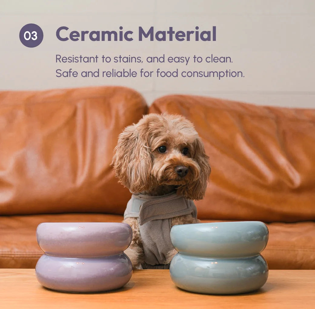 Ceramic pet bowls in purple and blue, featuring a unique stacked design, ideal for comfortable feeding.