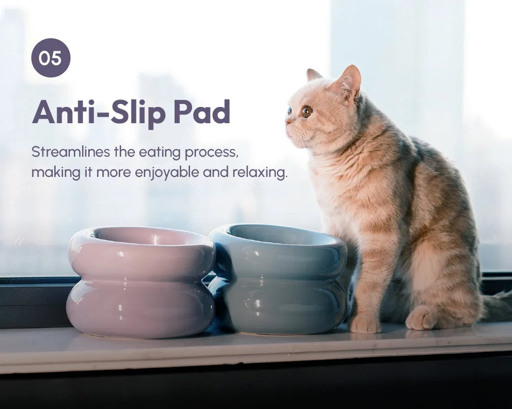 Purple and blue Soufflé pet bowls sit on a windowsill, with a cat looking out, showcasing their ergonomic design.