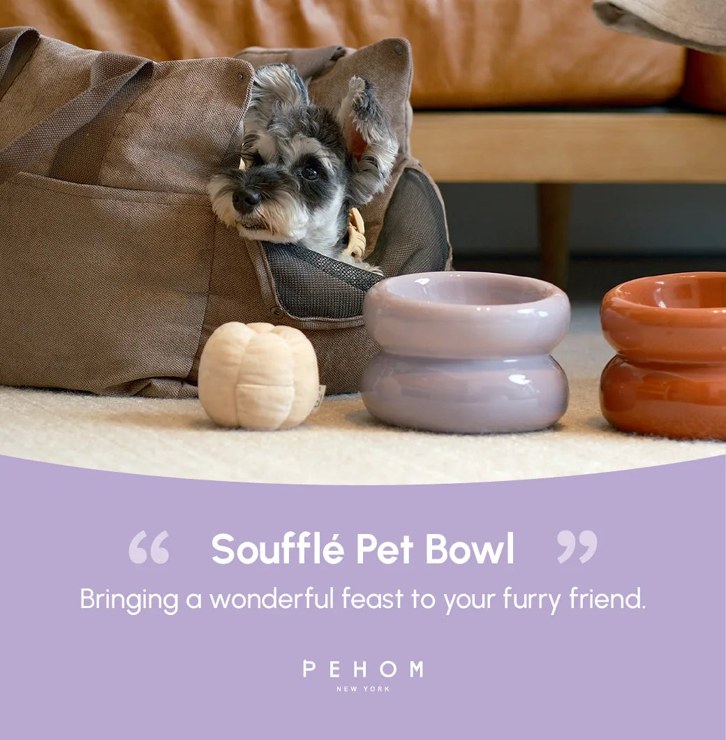 Purple Soufflé Pet Bowl beside a beige plush toy and a red bowl, with a dog peeking from a cozy bag.