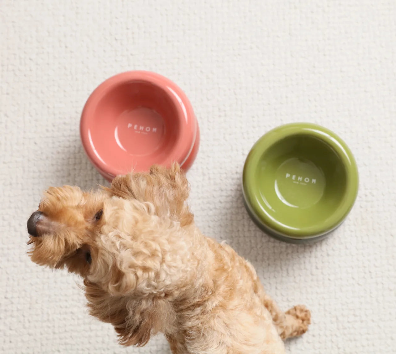 Purple soufflé pet bowl alongside coral and green bowls on a textured surface, with a dog in the foreground.