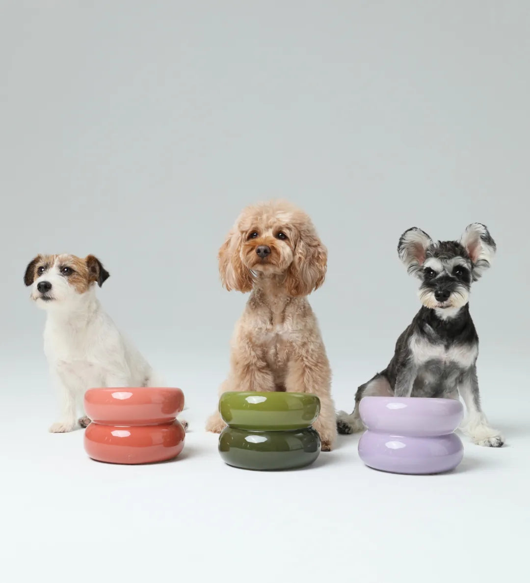 Purple Soufflé Pet Bowl with dogs, showing its unique design and vibrant colors with an emphasis on comfort and stability.