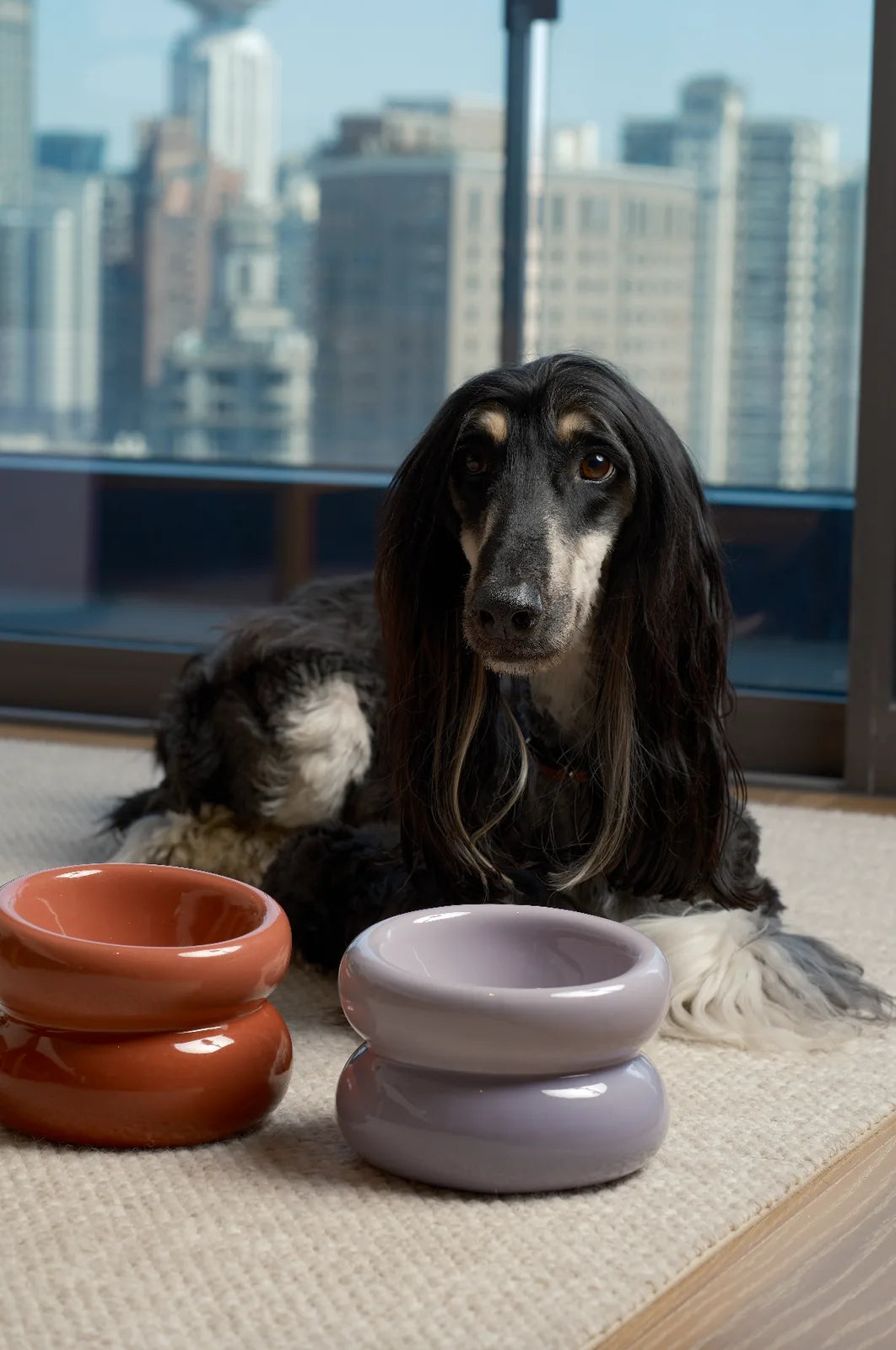 Purple soufflé pet bowl beside a dog, featuring a sleek design and diagonal opening for comfortable feeding.