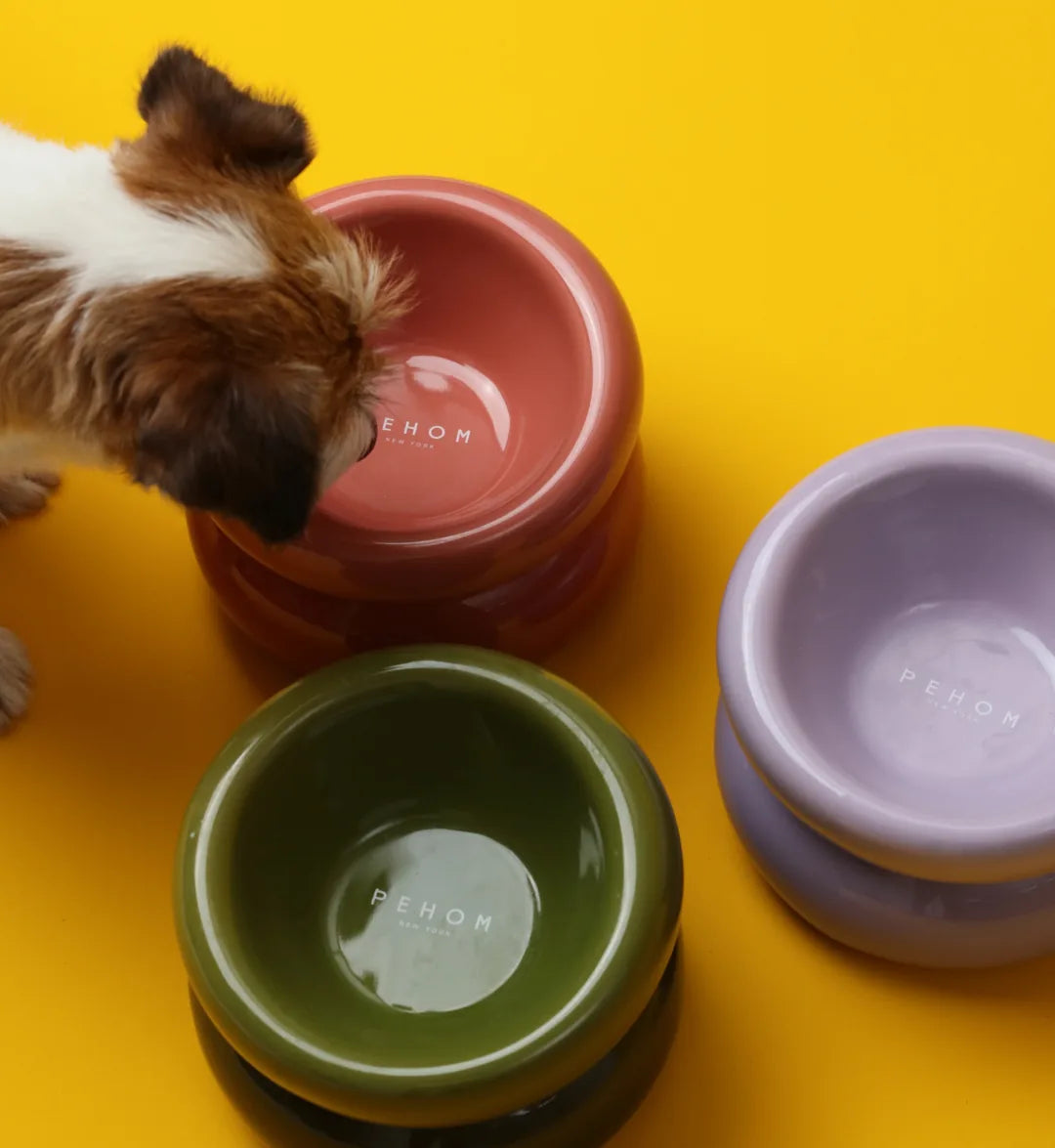 Purple soufflé pet bowl among green and pink bowls, with a dog sniffing nearby on a bright yellow background.
