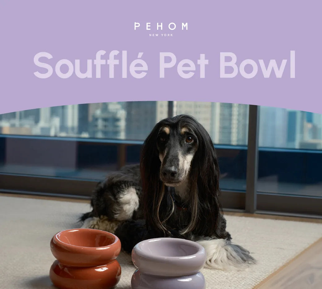 Purple Soufflé Pet Bowl beside an orange one, with a resting dog in a modern indoor setting.