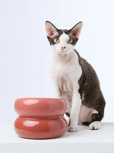 Soufflé Pet Bowl in Rose Pink with sleek design, beside a curious cat on a minimalist background.