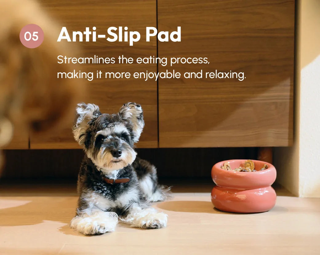Soufflé Pet Bowl in Rose Pink with anti-slip design, placed on a wooden floor beside a dog.