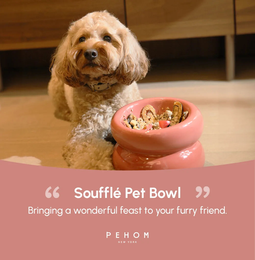 Rose pink Soufflé Pet Bowl beside a dog, featuring a curved design for comfortable eating and stability during mealtime.