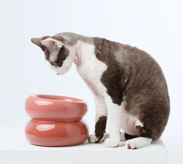 Rose pink Soufflé pet bowl beside a curious cat, featuring a smooth, modern design with a comfortable diagonal opening.