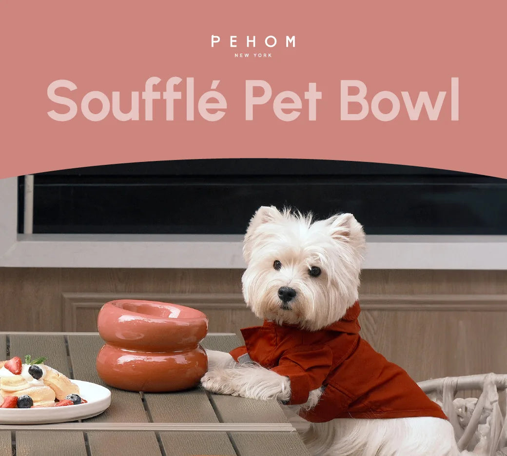 Soufflé Pet Bowl in Rose Pink beside a dog wearing a red outfit, on a wooden table with a plate of fruit.
