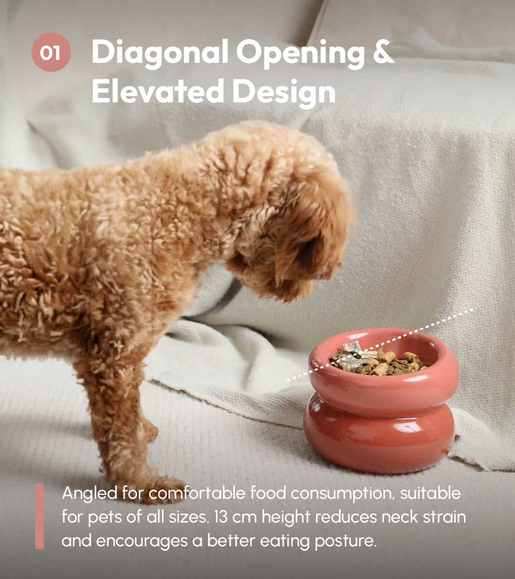 Soufflé Pet Bowl in rose pink, featuring a diagonal opening and elevated design for comfortable feeding.