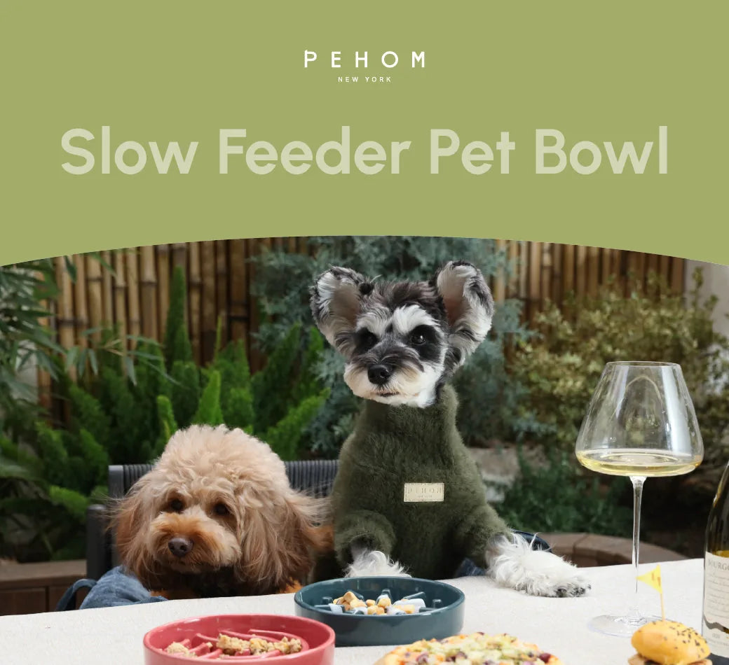 Two dogs seated at a table with a blue slow feeder bowl and various pet treats, surrounded by greenery.