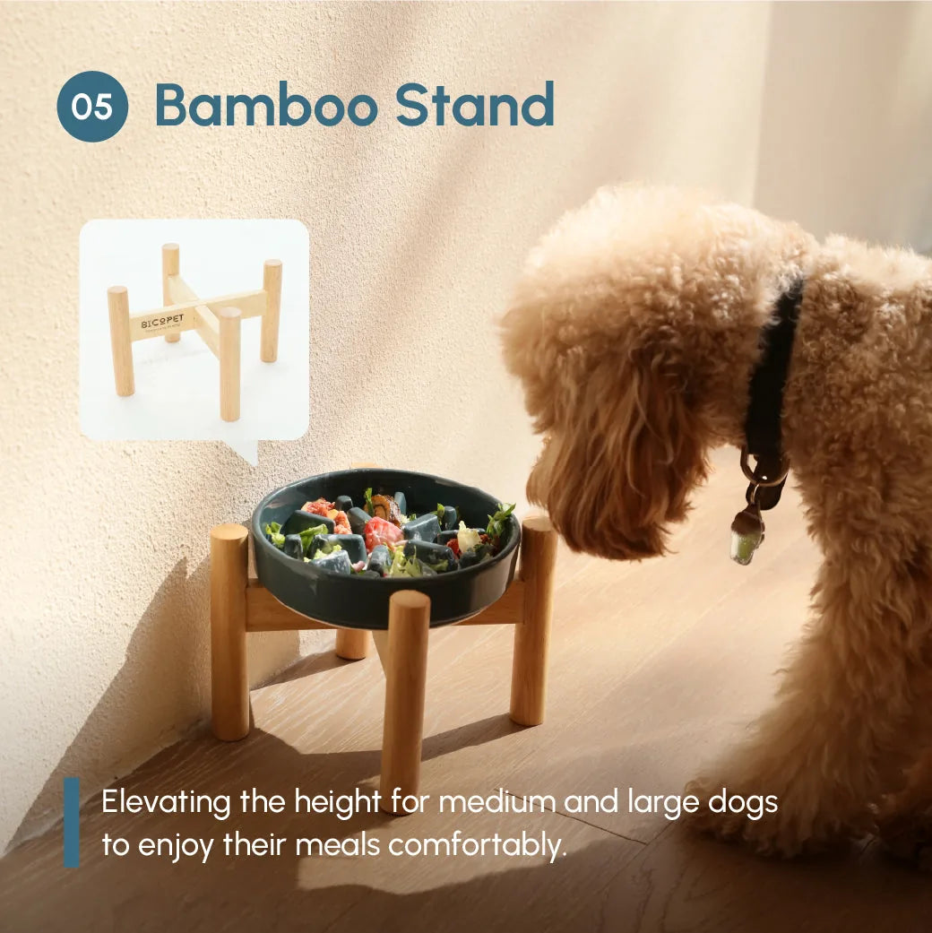 Slow feeder dog bowl on a wooden stand, with a medium-sized dog curiously looking at the food inside.