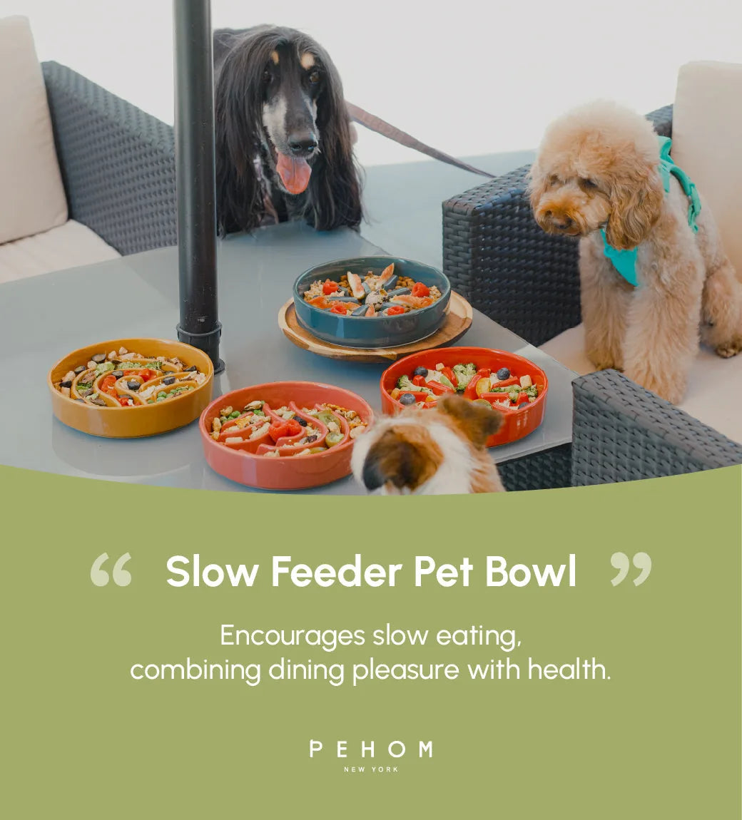 Slow feeder dog bowls in red, blue, and orange ceramic with healthy food, designed to promote slow eating.