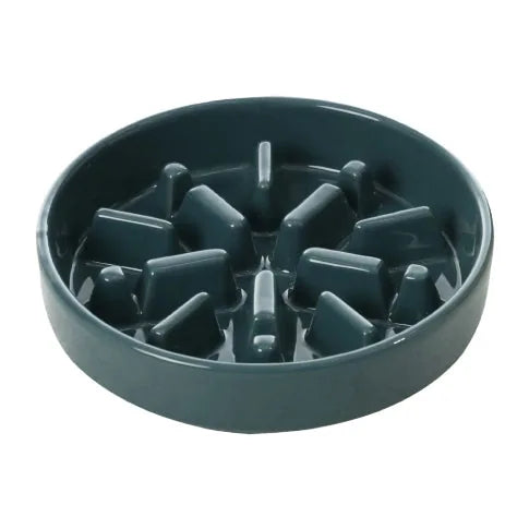 Slow feeder dog bowl in teal ceramic with raised sections for encouraging slower eating and better digestion.
