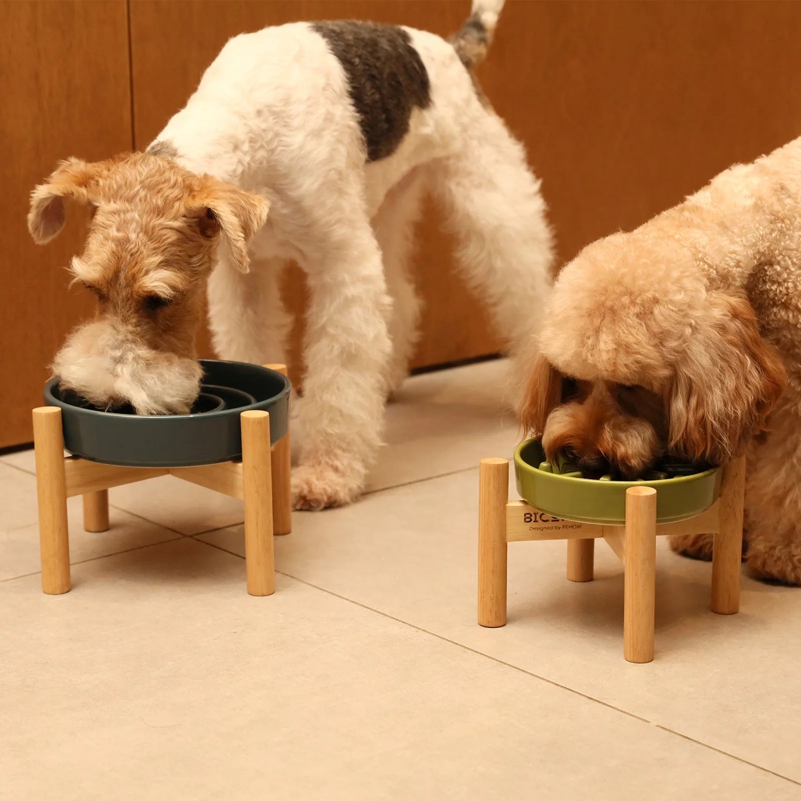 Two dogs using slow feeder bowls on wooden stands; one green bowl and one blue bowl, promoting slow eating.