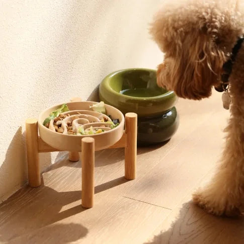 Slow feeder dog bowl in light beige with wooden stand, filled with food, next to a green ceramic bowl and dog.