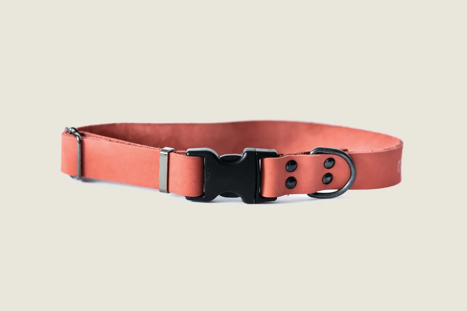 Coral reef leather dog collar with black hardware, featuring a clean design and adjustable sizing options.