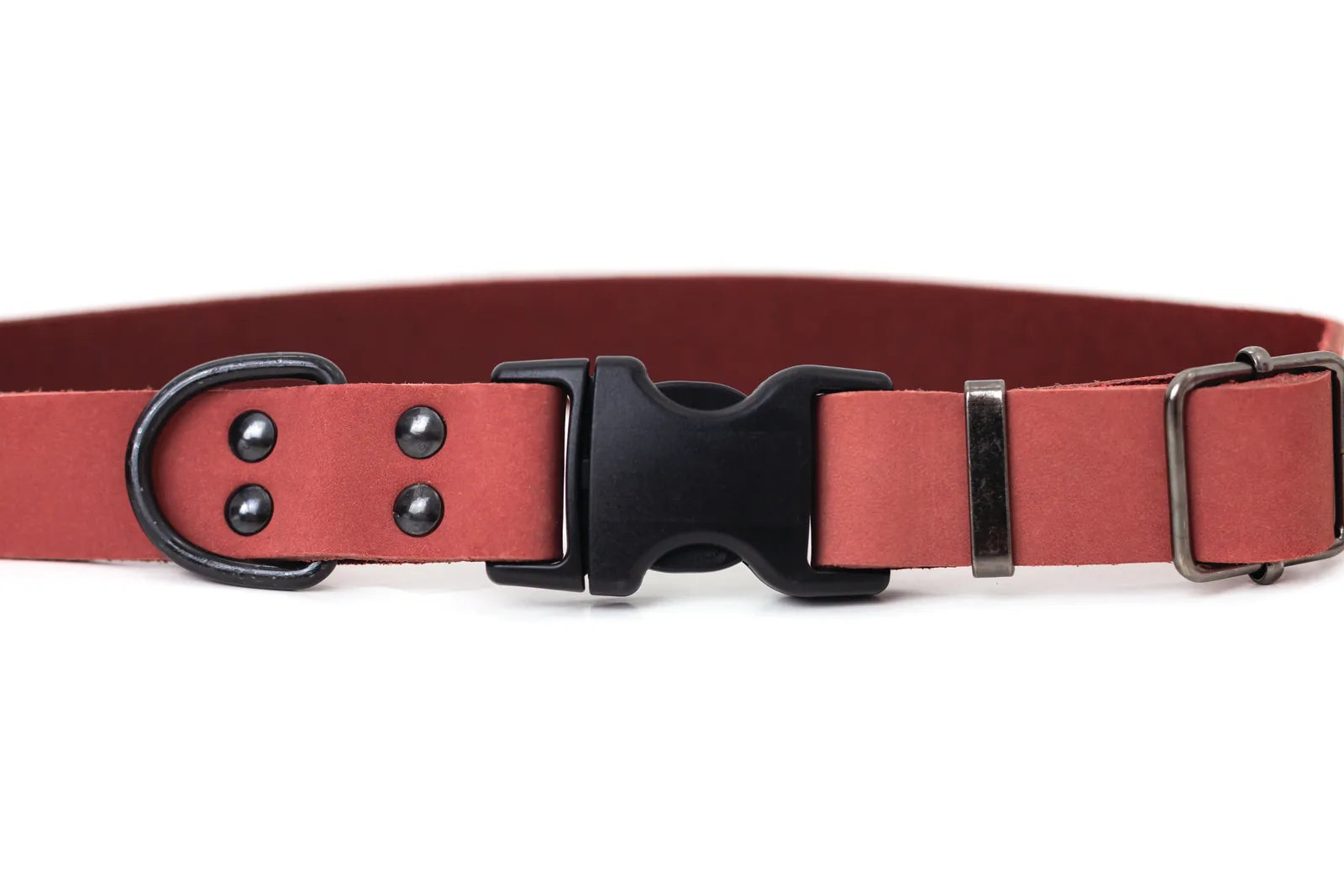 Sporty coral reef leather dog collar featuring black hardware and a quick-release buckle for convenience.