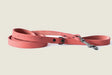 Euro-Dog Collars and Leads