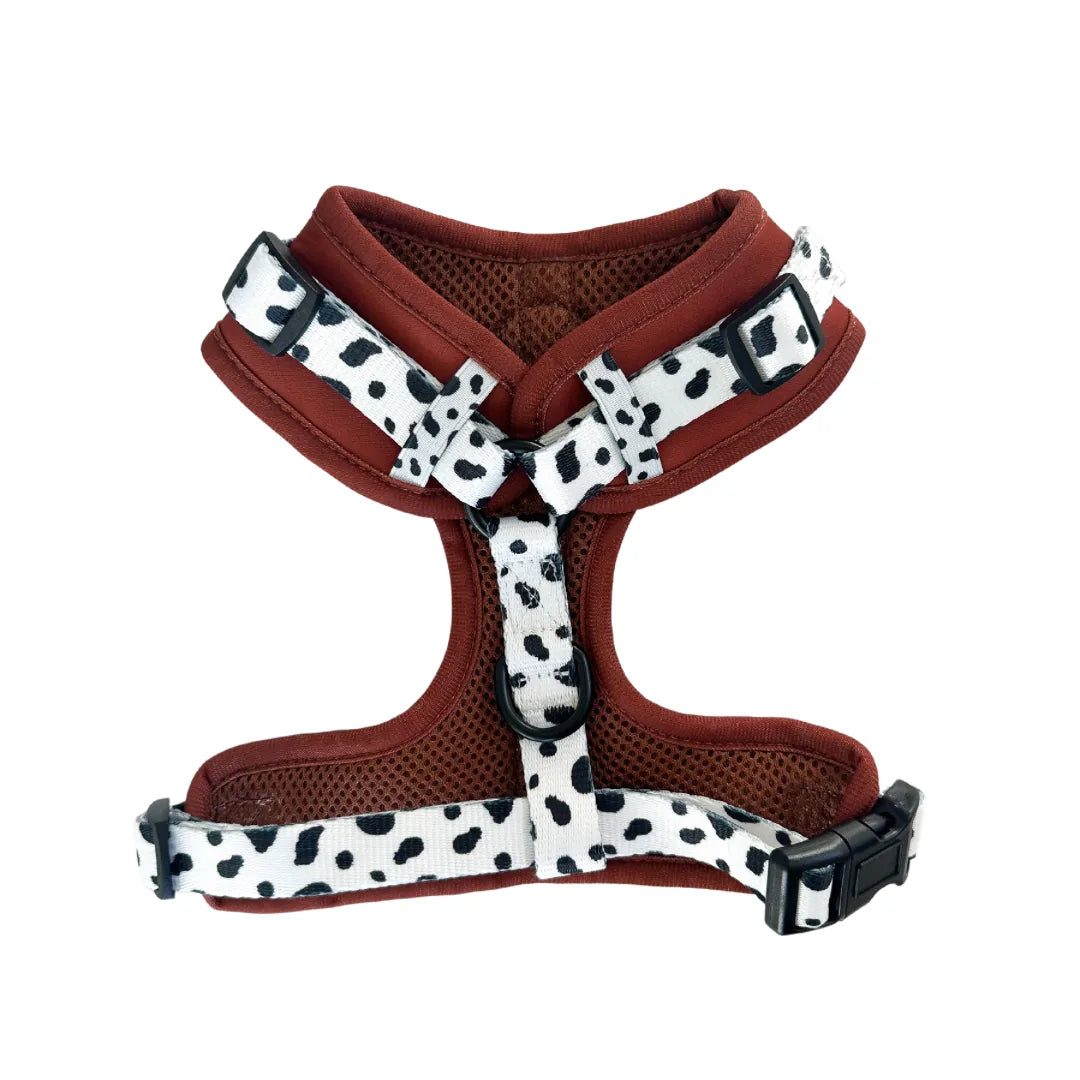 Adjustable burnt orange dog harness with black and white spotted straps, designed for comfort and secure fit.