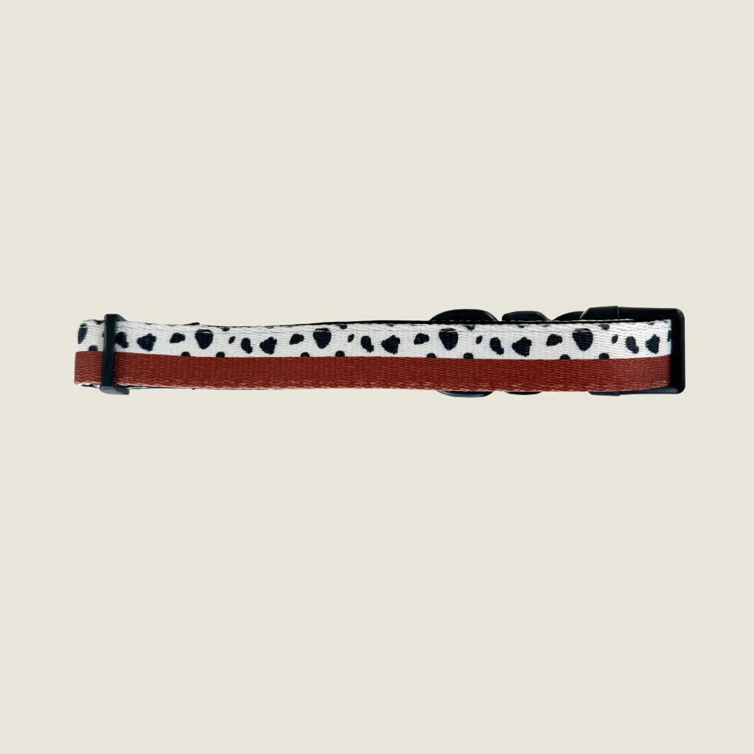 Spotted Ember Collar in burnt orange with black spots, made of neoprene and polyester for adjustable comfort.