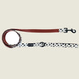 Spotted Ember Leash by EverWoof
