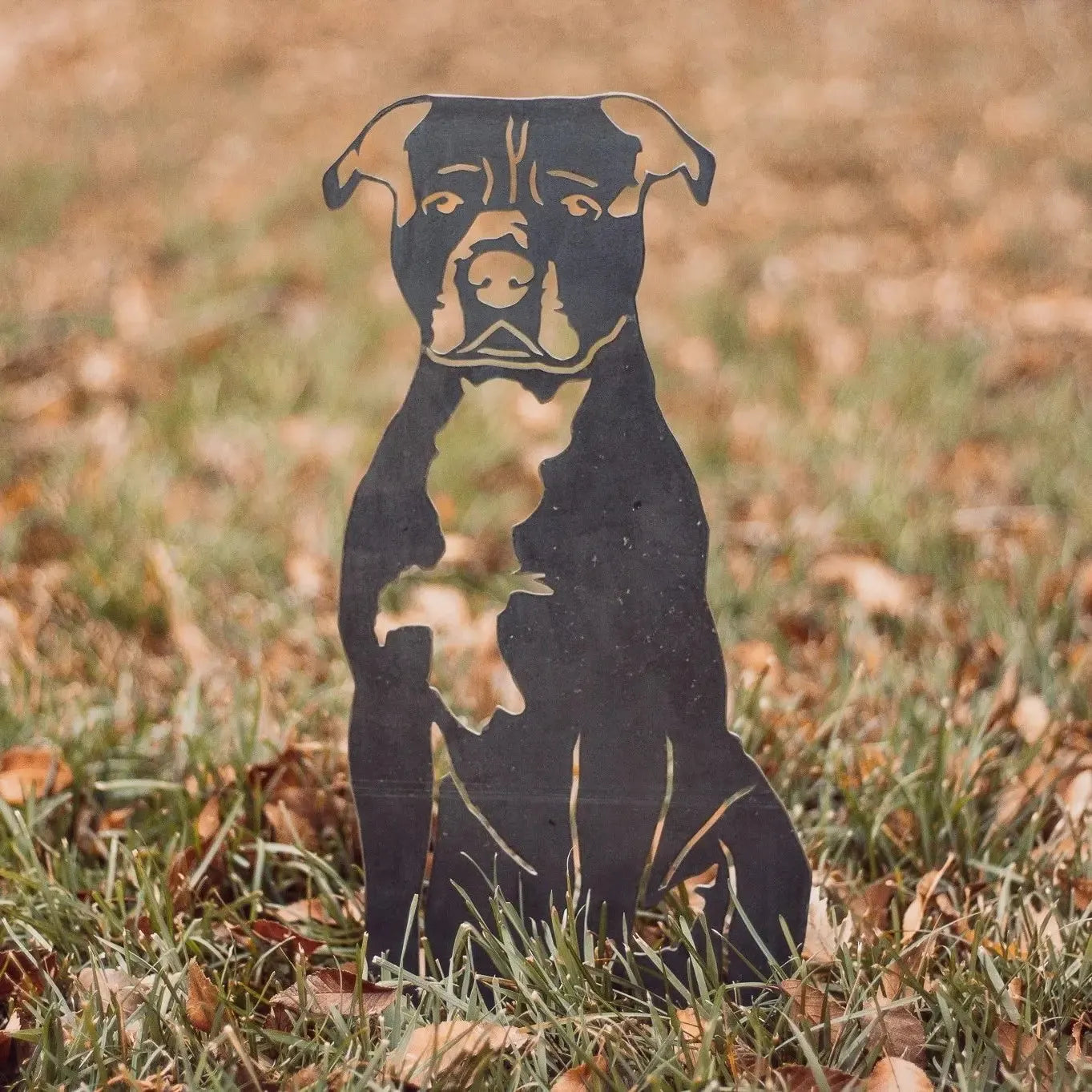 Staffordshire Bull Terrier metal silhouette in black, set on grass with fallen leaves, perfect for outdoor decor.