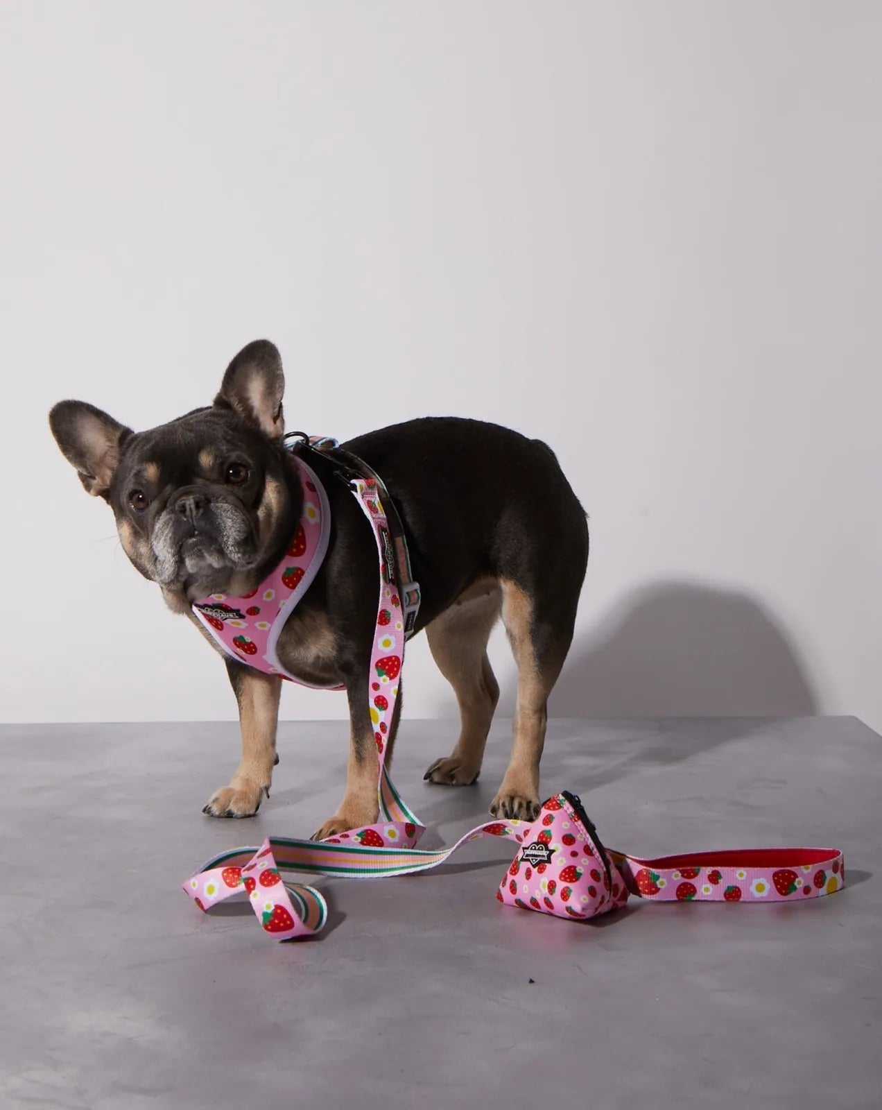 Durable pink dog leash with strawberry pattern and neoprene handle, accompanied by a French Bulldog wearing a matching har...
