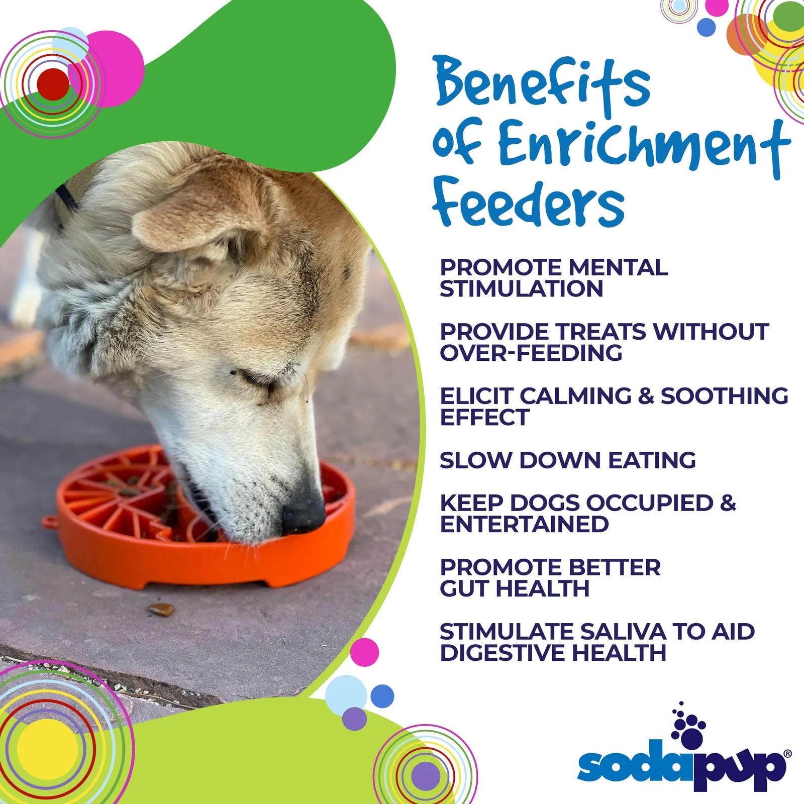 Shallow orange slow feeder bowl with sun and moon design, helping dogs eat slowly and providing mental stimulation.