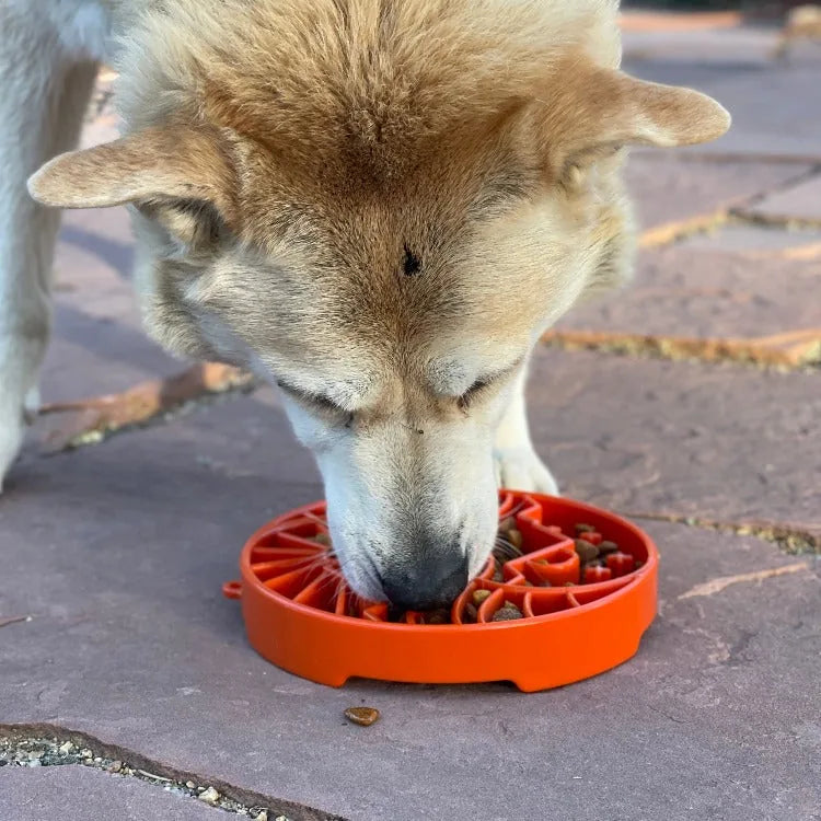 Shallow orange slow feeder bowl with sun and moon design, perfect for enriching meals for dogs.