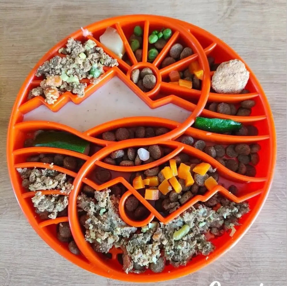 Shallow orange slow feeder dog bowl with sun and moon design filled with various kibble and toppings.