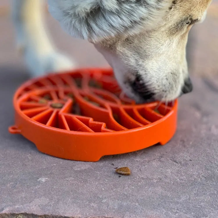 Shallow orange slow feeder dog bowl with raised ridges, designed for enrichment and mindful eating during mealtime.