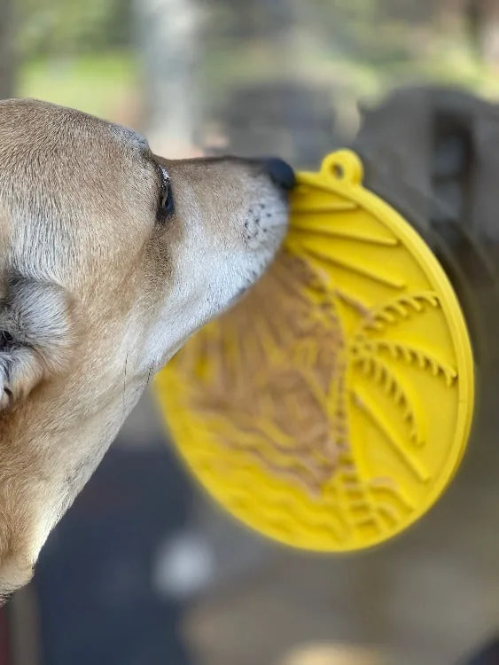 Dog engaging with a bright yellow Sun n' Sea eMat, featuring a beach design and textured surface for licking.