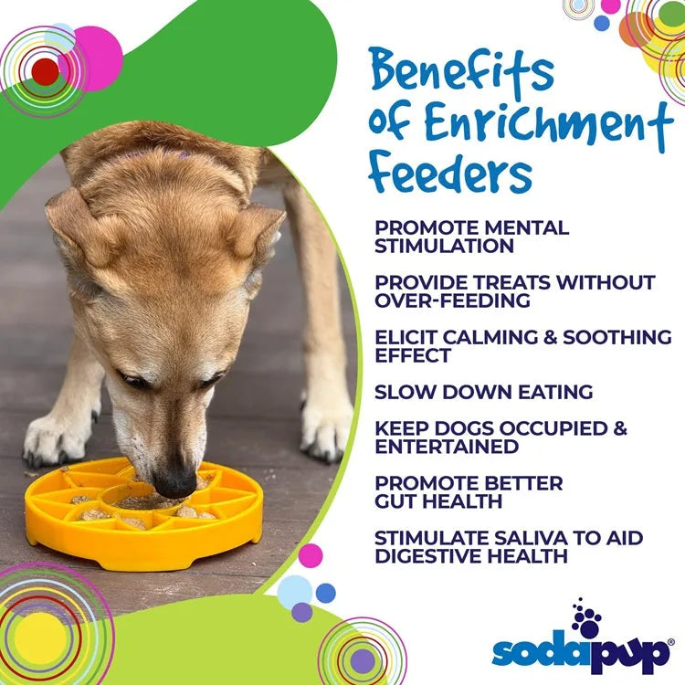 Dog enjoying treats from a vibrant yellow sunflower-shaped slow feeder bowl, designed for mental stimulation and calmer ea...