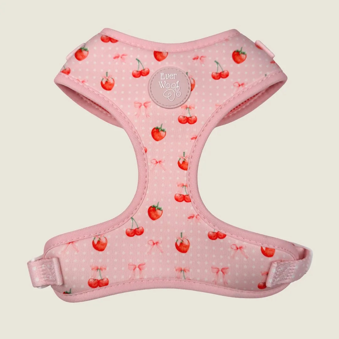 Adjustable pink harness featuring a cherry pattern and polka dots, designed for comfort and style for dogs.