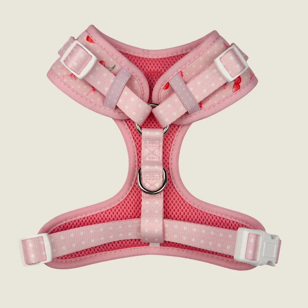 Pink adjustable dog harness featuring cherry and polka dot patterns, made from soft neoprene and breathable mesh.