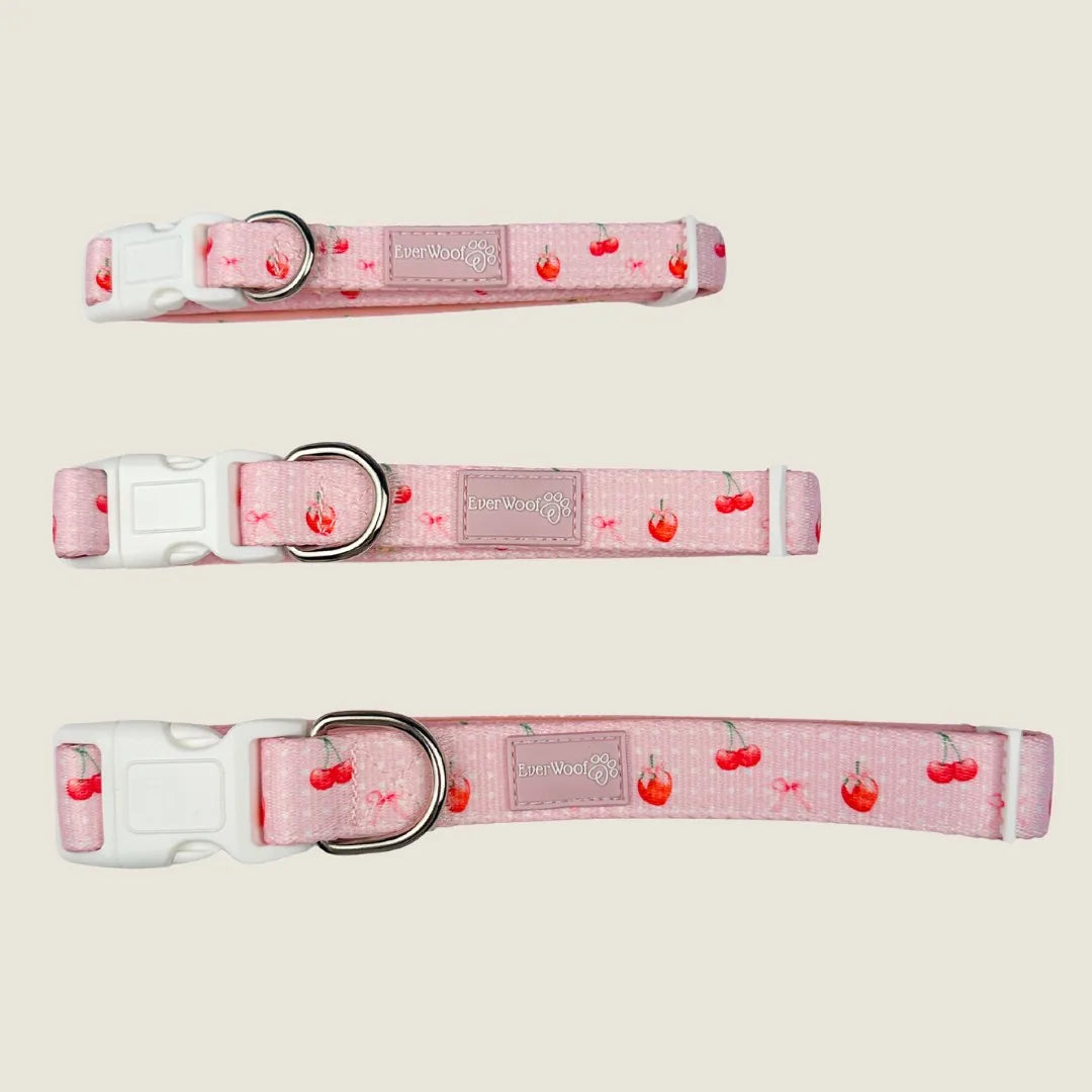 Pink dog collar with a cherry pattern, featuring neoprene padding and adjustable strap by EverWoof.