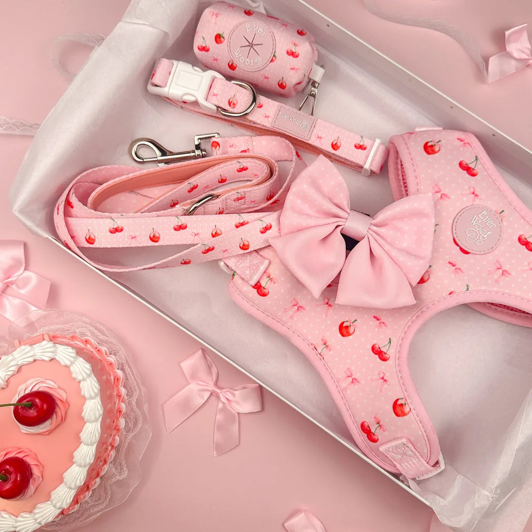 Pink cherry-patterned harness and matching leash set with a bow, nestled in a white box with pink accents.