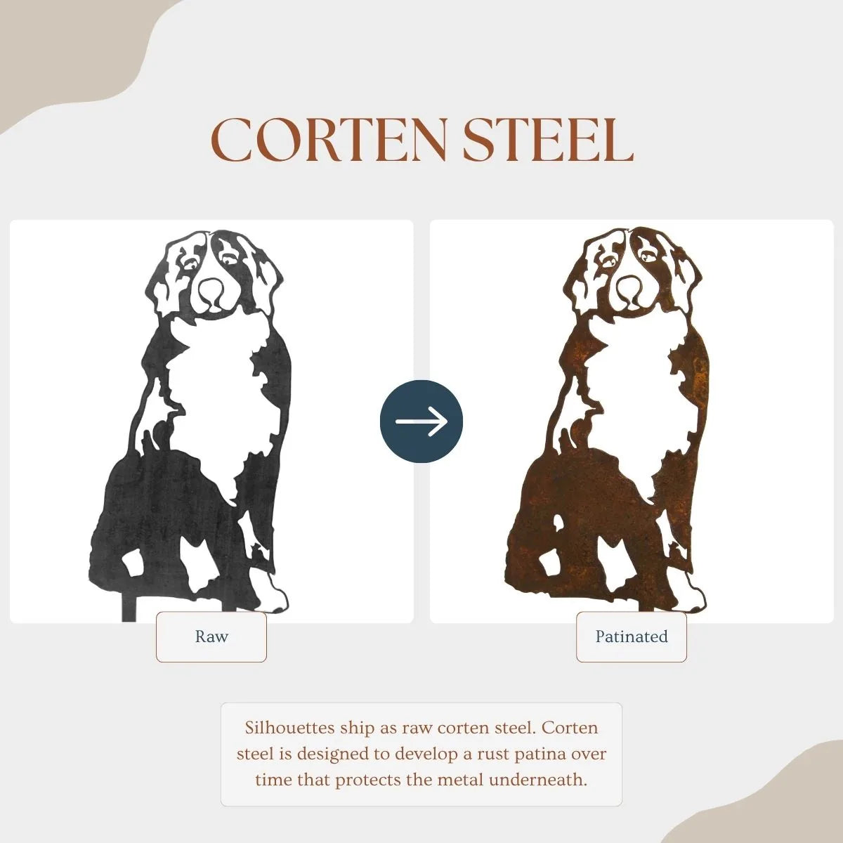 Swiss Mountain Dog silhouette in raw and rust-patinated Corten steel, illustrating its weathering transition.