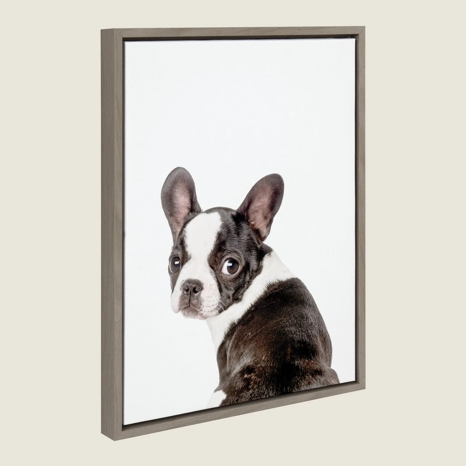 Framed canvas featuring a charming French Bulldog illustration with a modern polystyrene frame.