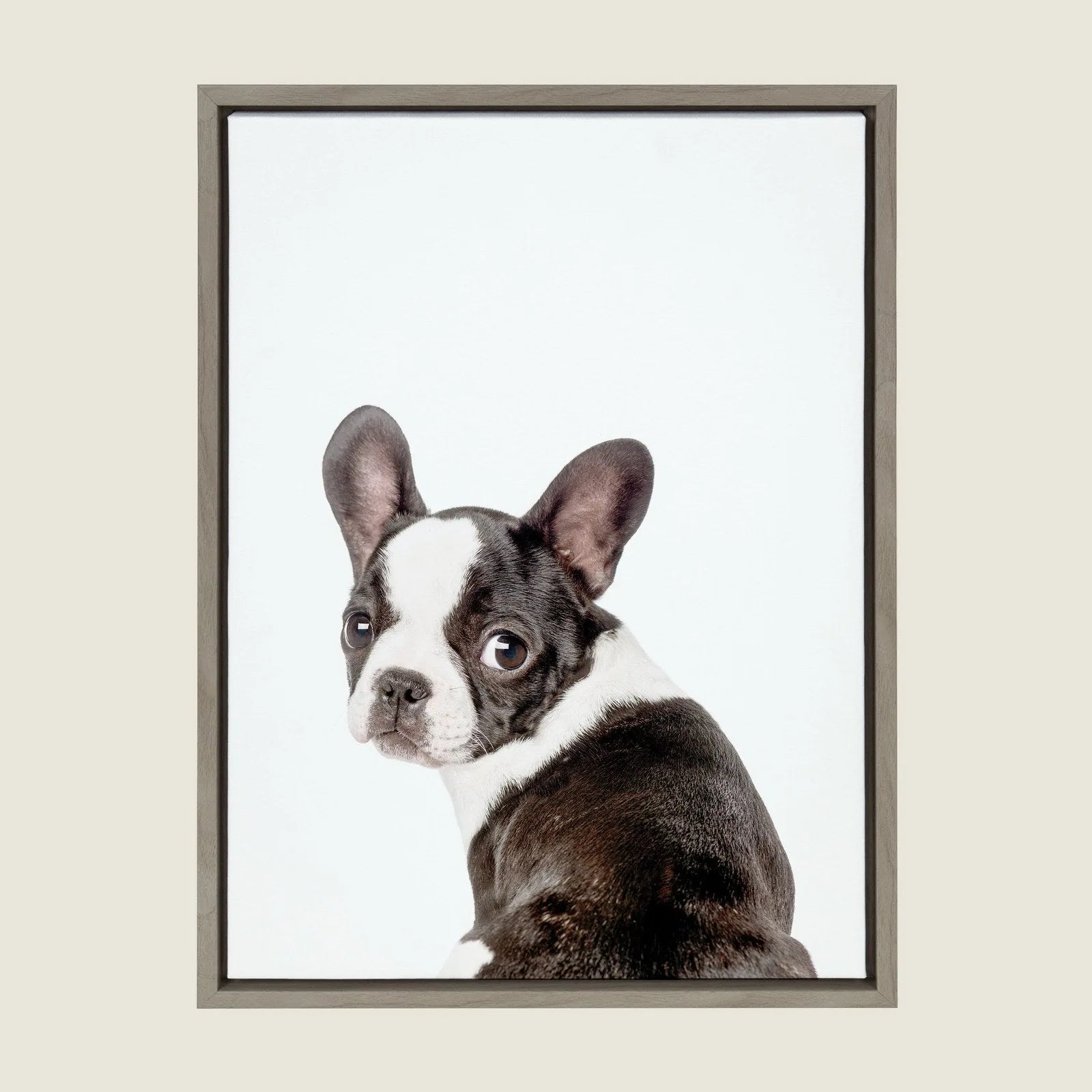 Framed canvas art featuring a charming black and white French Bulldog with a modern design. Perfect for home decor.
