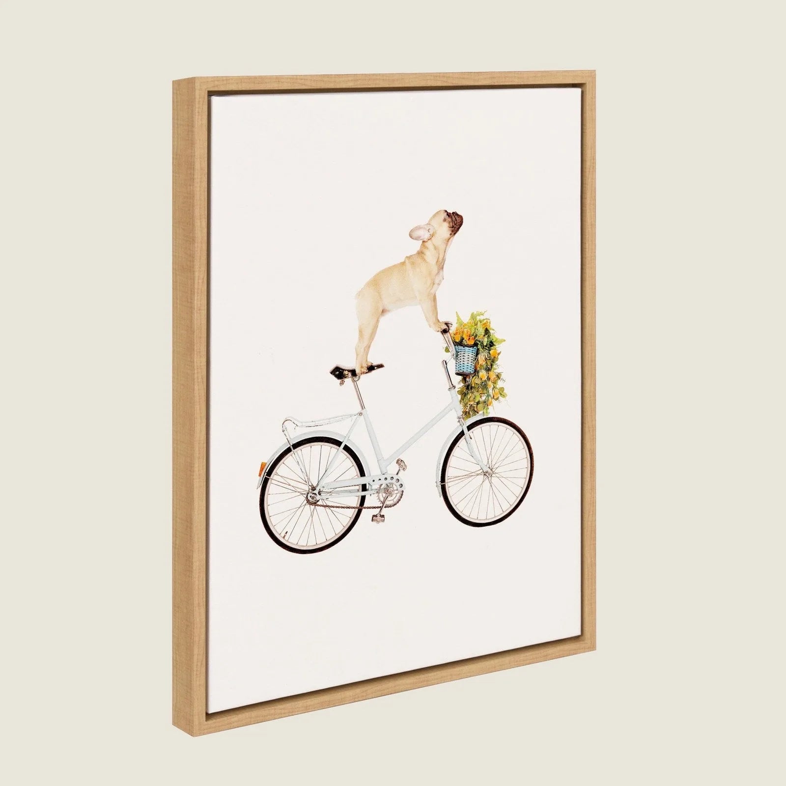 Framed canvas art featuring a playful beige French Bulldog on a light blue bicycle with a basket of flowers.
