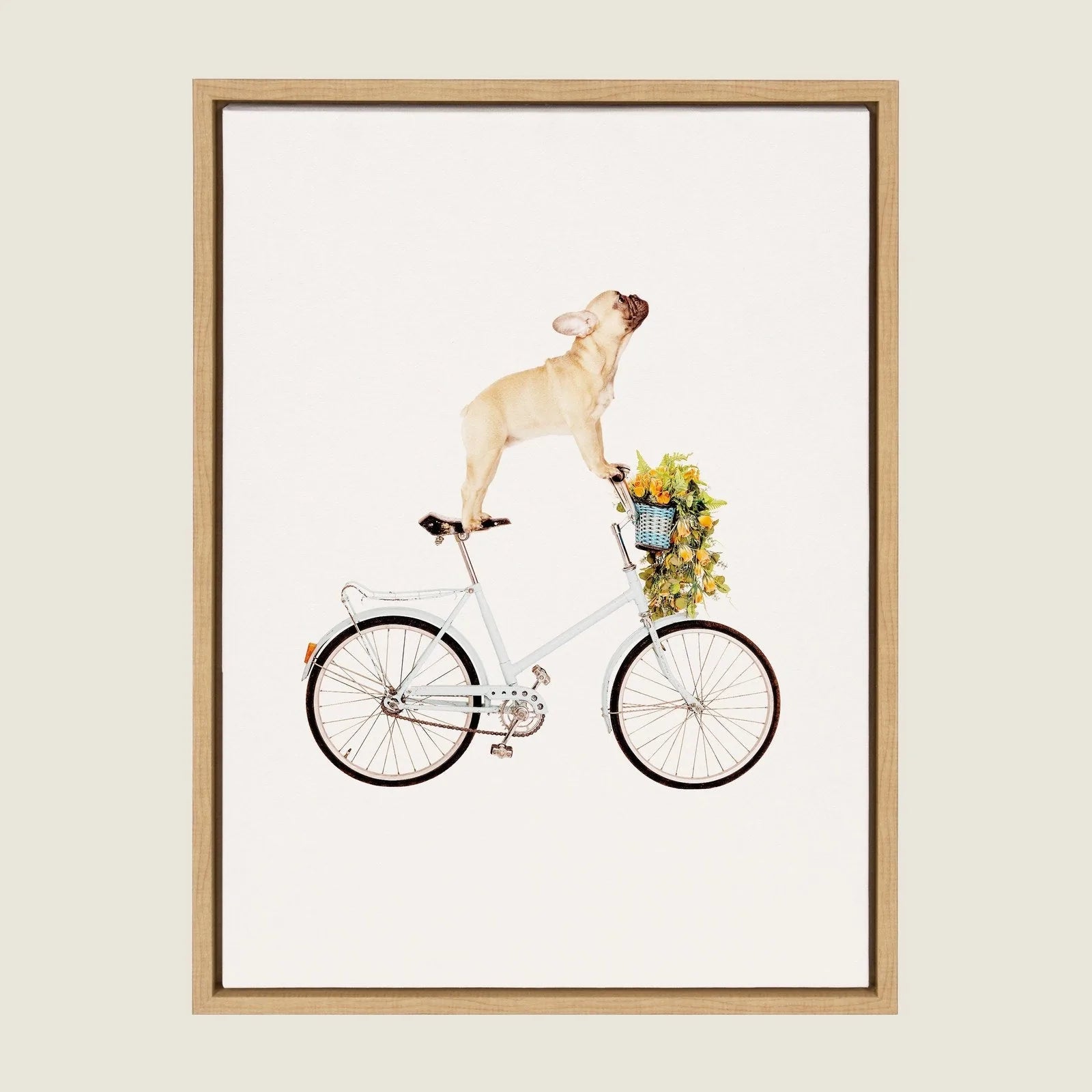 Playful French Bulldog standing on a bicycle with a basket of yellow flowers, framed in natural wood.