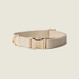 'Tan' - Canvas Dog Collar by FURLOU