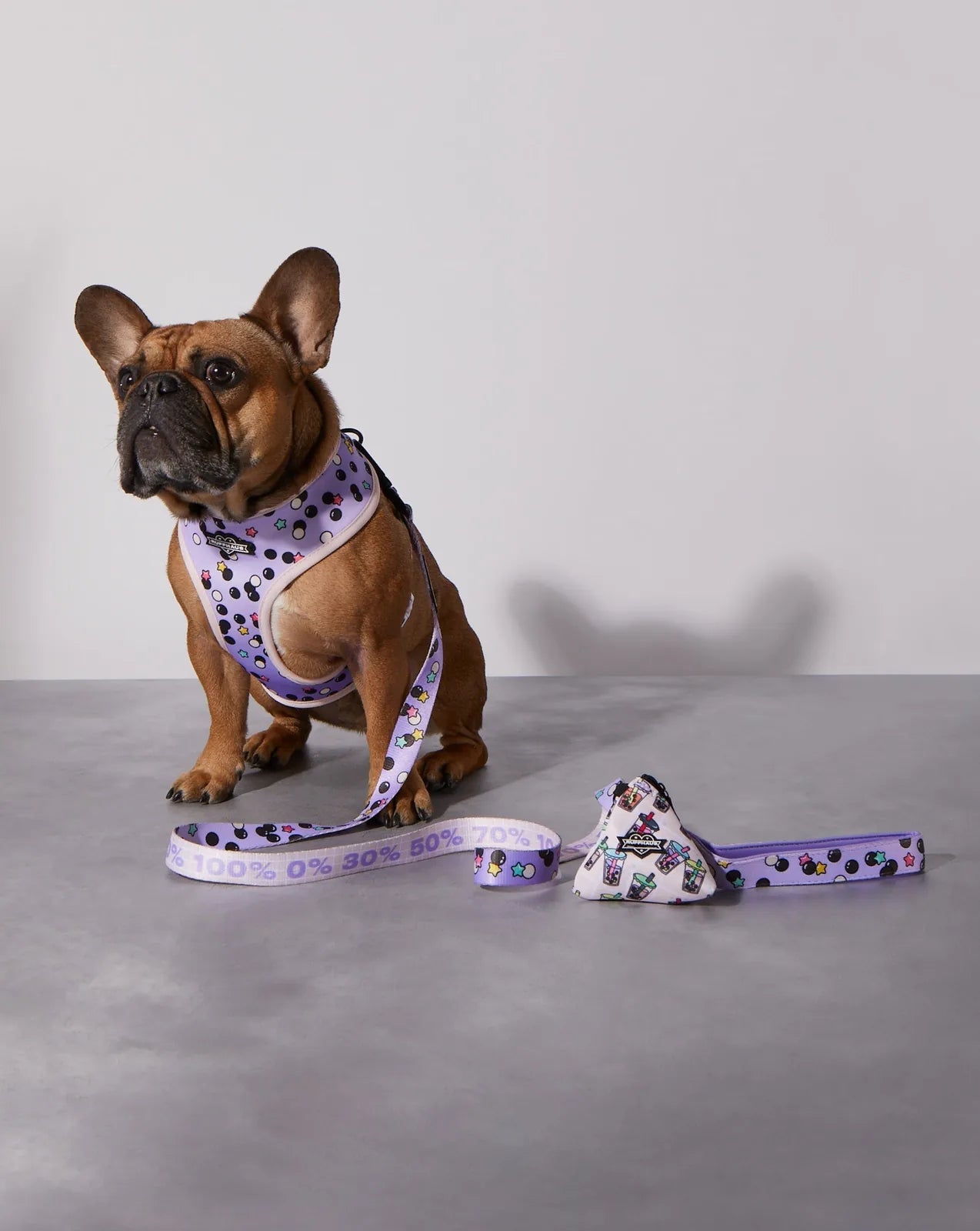 French Bulldog wearing a patterned harness next to the Taro Boba dog leash in lavender with playful designs.