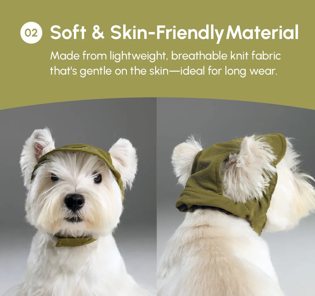 Playful dog wearing a soft, breathable blue tennis hat with a reflective logo, showcasing a comfortable fit.