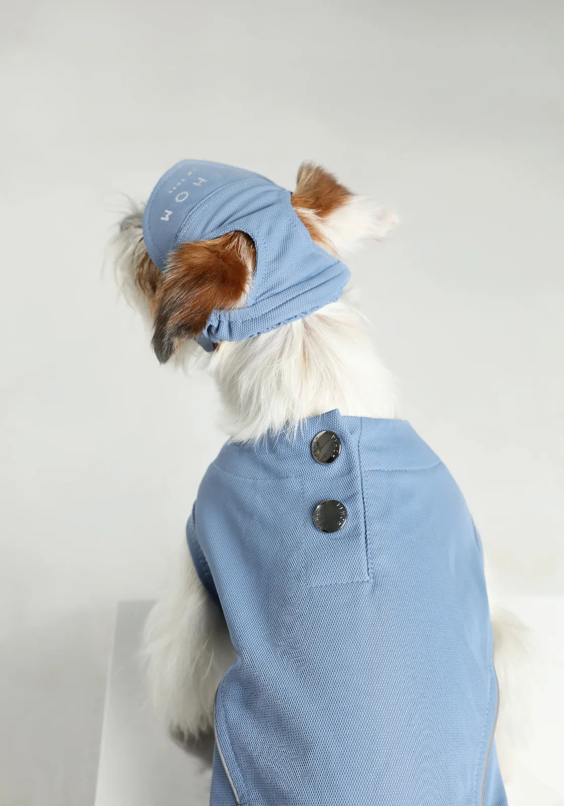 Blue tennis hat on a small dog, featuring a reflective logo and soft fabric, paired with a coordinating outfit.