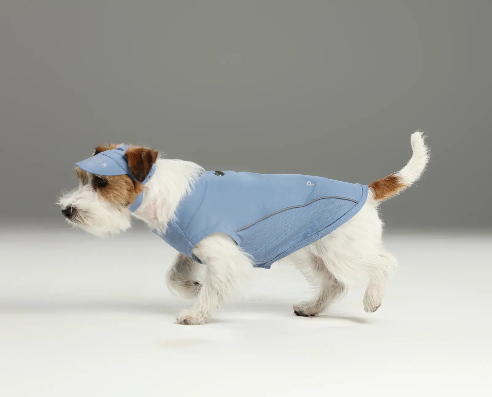 Blue tennis hat on a dog, featuring a reflective logo, lightweight knit fabric, and an adjustable chin strap.